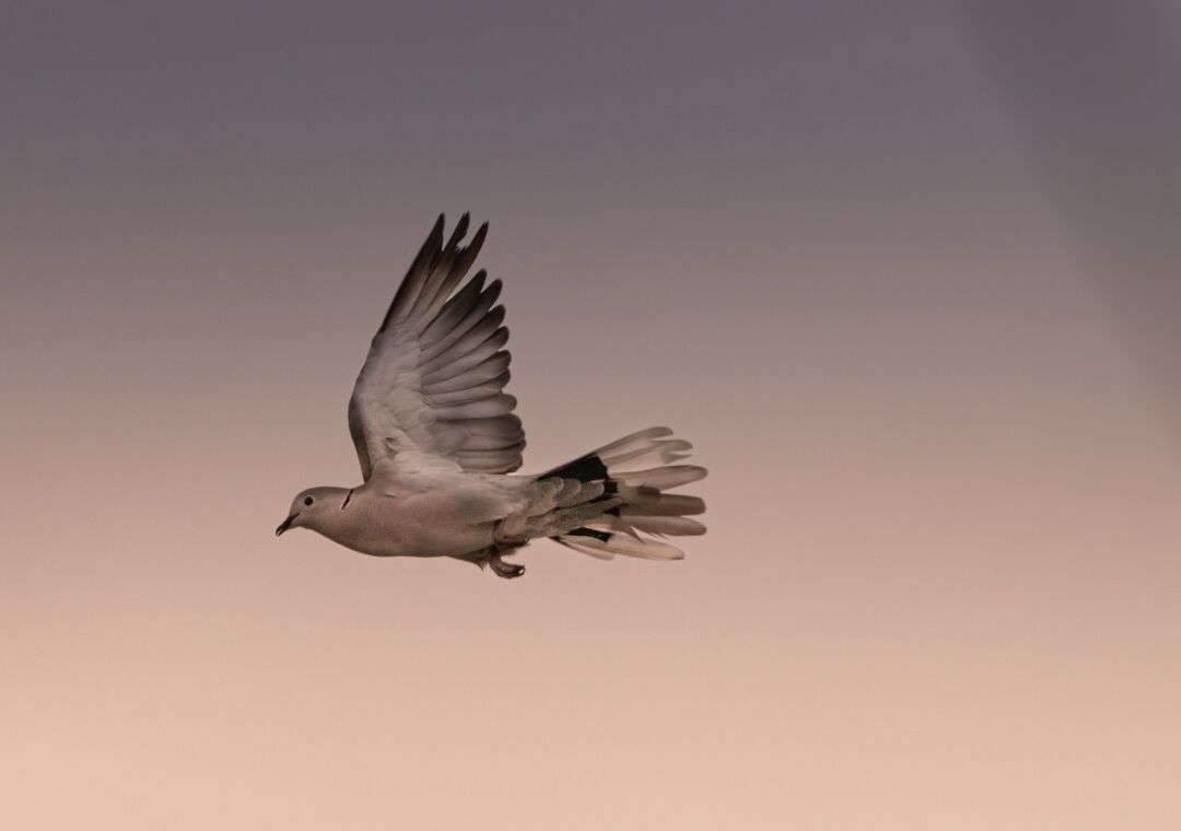 lenstravelier-5Bdd-awYJ9M-unsplash